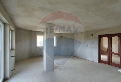 Casa de vanzare cu  teren de 3.869 mp in Cosniciu de Jos /Ip, Salaj - 14