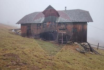 Teren Construcții intravilan de 26238 mp, în Dorna-Arini - 11