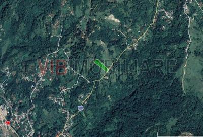 Breaza - Nistoresti, Str. Muresului, teren intravilan, suprafata 6.144 mp - 7