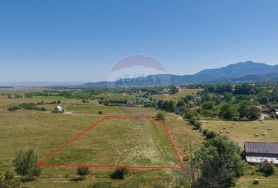 Teren Construcții intravilan de 6900 mp, în Bran - 4