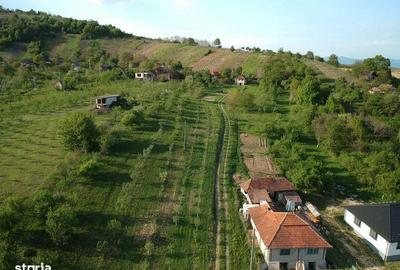 Teren de 3840 mp, în Orașu Nou - 3