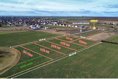Teren Construcții intravilan de 1128 mp, în Sânandrei - 1