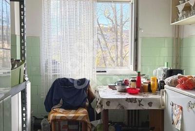 Apartament cu 4 camere de vanzare la etajul 3 in Nufarul - 8