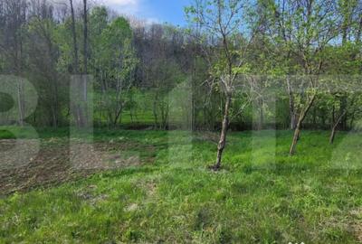 Teren de 6659 mp, în Nisipoasa - 6