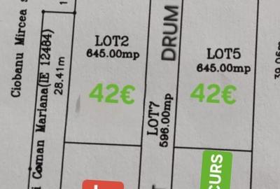 Spațiu comercial, în Albota - 7