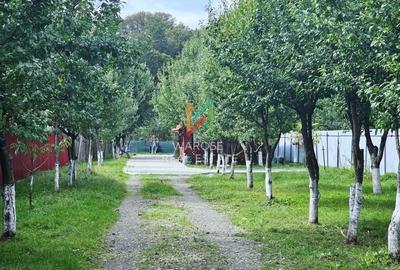 Teren 2000 | Casa | Foisor | Livada | Zizin | Brasov - 1