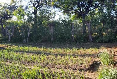 Teren intravilan, casa demolabila in Dumbravesti, Prahova - 3
