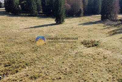 Teren de vanzare 5000 mp - Piatra Neamt - 5
