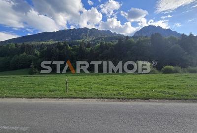 Teren intravilan Zarnesti Plaiul Foii - 20