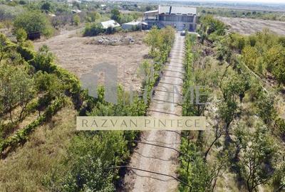 Pensiune 6 camere, teren 12713 mp, Dealul Mare, Urlati, Prahova - 4