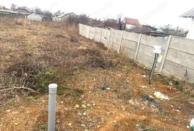 Casa cu teren 1142 mp in Curtisoara - 3