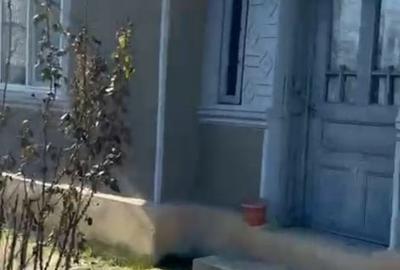 Casă cu 3 camere cu Teren 866 Mp în Ulmu - 1