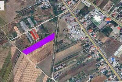 Teren de 7900 mp, în Ulmi - 2