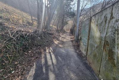 Teren arabil intravilan , priveliste mirifica , zona Schei - 3