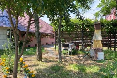 Case Parvu Rosu -Costesti la 13 km de Pitesti - 4