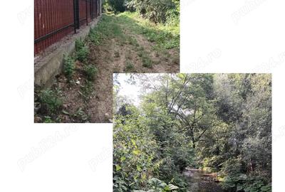 Casă cu 5 camere cu Teren 70000 Mp în Gârliște - 8