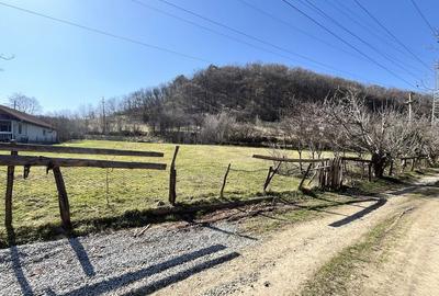 Spațiu comercial, în Săsciori - 2