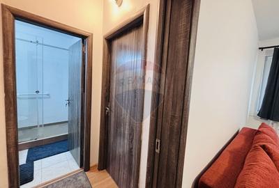 Apartament cu 2 camere semidecomandat, mobilat în Domenii - 5