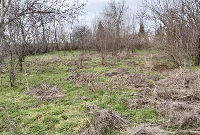 Casă cu 7 camere cu Teren 1500 Mp în Central - 11