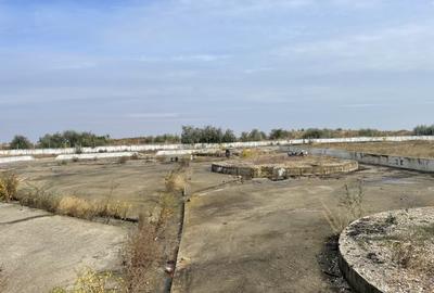 Ovidiu 6 ha teren intravilan construibil îngrădit și platforma betonata. - 12