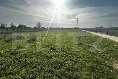 Teren intravilan, 650 mp, zona Prelungirea Panduri - 5