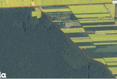Teren de 4701 mp, în Gruiu - 4