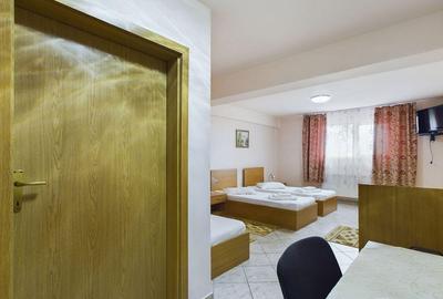 Pensiune in Arad (Vladimirescu) pe DN7 - 3