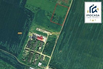 Teren agricol extravilan de 18500 mp, în Aradul Nou - 1