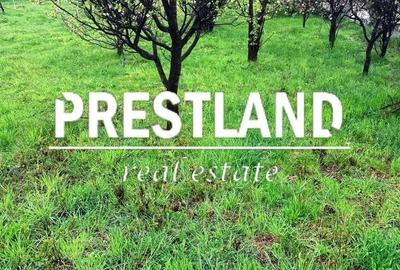 Teren de 1200 mp, în Turnu Roșu - 2