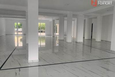 Spațiu comercial, de 250 mp, în Dumbrăvița - 6