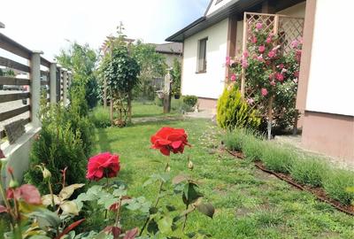 Casă cu 4 camere în Balciu - 4