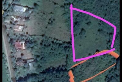 Teren de 2200 mp, în Poșta Câlnău - 4