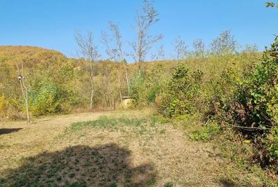 Teren de 2500 mp, în Tisău - 6