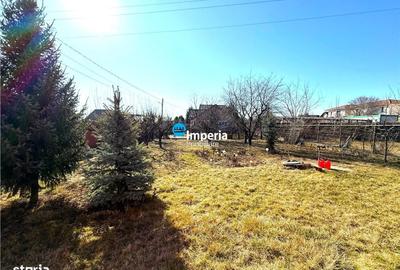 Casă cu 5 camere cu Teren 790 Mp în Ciurea - 9