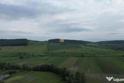 Teren de 3953 mp, în Fălticeni - 12