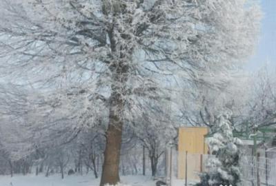 Casă cu 4 camere cu Teren 629 Mp în Central - 3