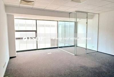 Spațiu comercial, de 258 mp, în Romană - 8