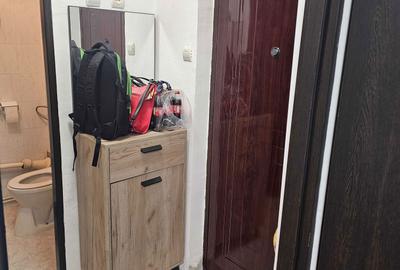 Garsonieră decomandată în Terezian - 3