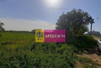 Teren de 5000 mp, în Copăceni - 12