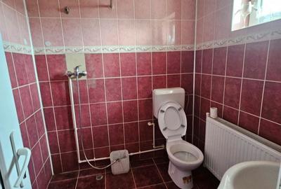 Casă cu 4 camere în Topolița - 3