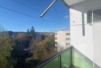 Apartament cu 2 camere decomandat, mobilat în Plopilor - 10