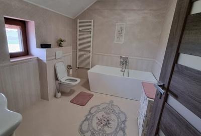 Casa de vanzare spre Vetis, drum principal - 19