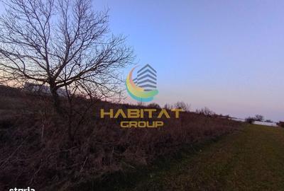 Spațiu comercial, în Adunații-Copăceni - 5