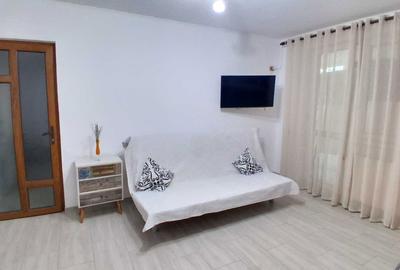 Apartament cu 2 camere semidecomandat în Berceni - 4