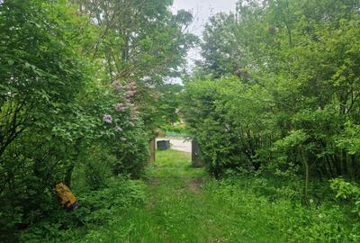 Casă cu 4 camere cu Teren 6000 Mp în Bezdead - 3
