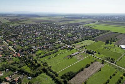 Hala de 430 mp ?i teren intravilan 2.5 ha Macea - 4