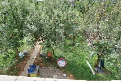 Casă cu 4 camere cu Teren 1000 Mp în Careiului - 1