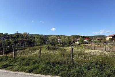 Spațiu comercial, în Aranghel - 4