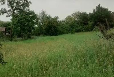 Teren de 1100 mp, în Roșia de Secaș - 8