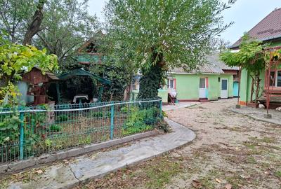 Casă individuală cu 2 camere cu Teren 2600 Mp în Crâmpoia - 5